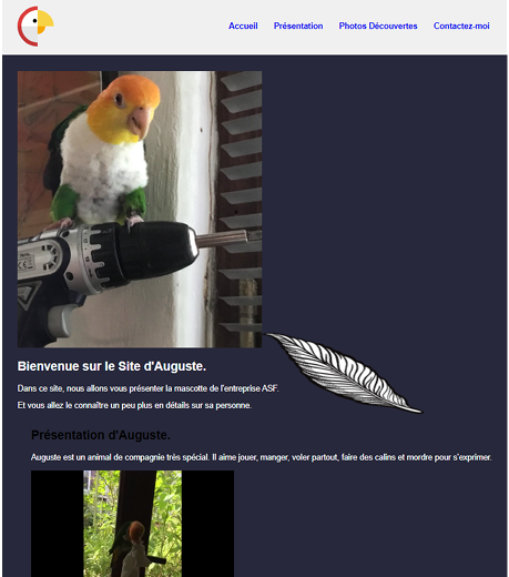Perroquet Mascotte